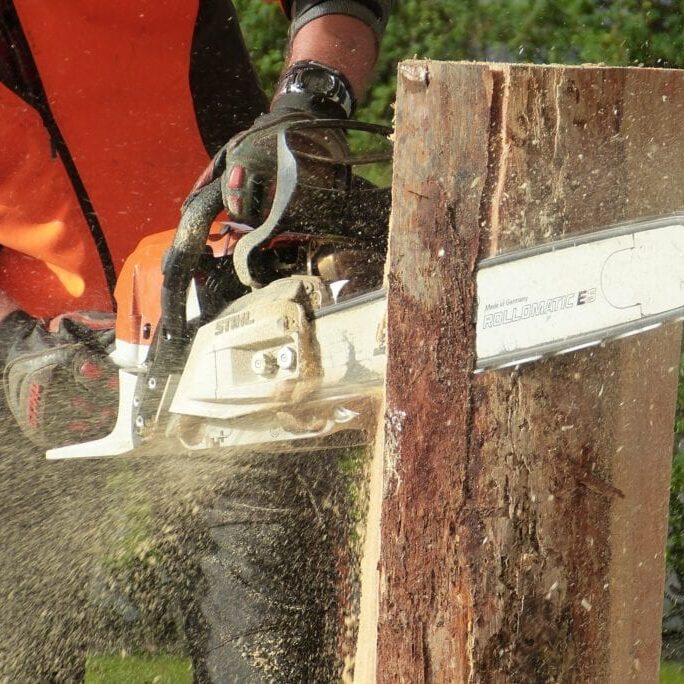 man-cutting-tress-using-chainsaw-209229